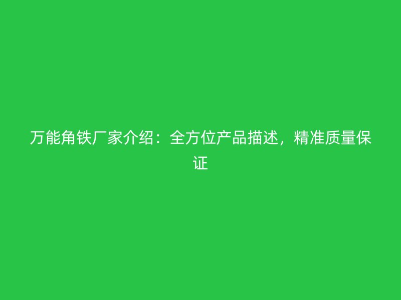 萬(wàn)能角鐵廠家介紹：全方位產(chǎn)品描述，精準(zhǔn)質(zhì)量保證