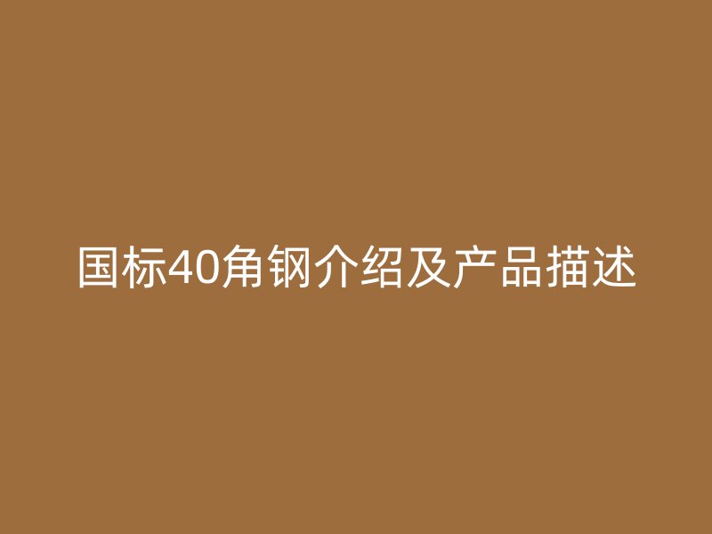國標40角鋼介紹及產品描述