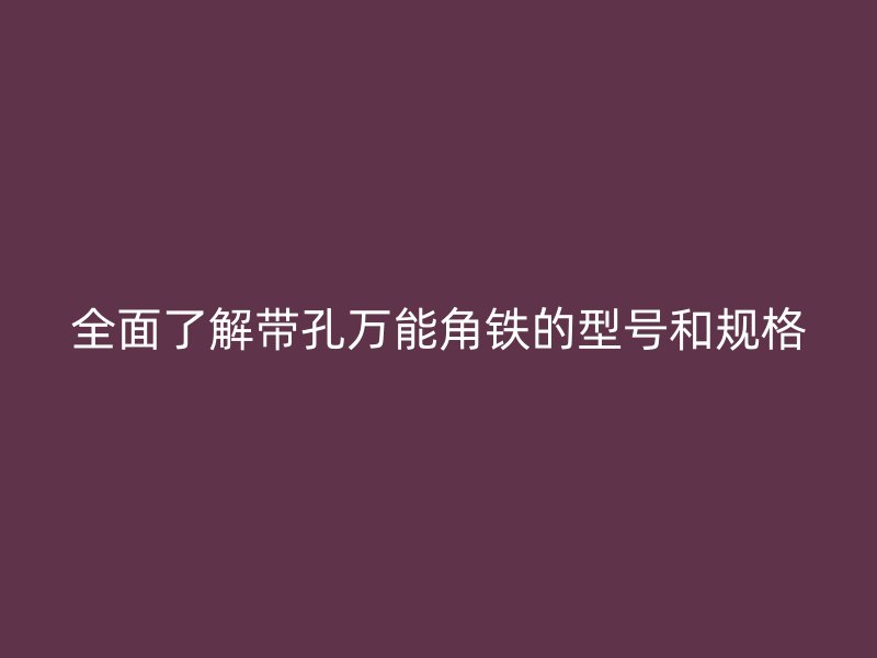 全面了解帶孔萬能角鐵的型號和規(guī)格